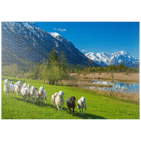 Darstellung des Puzzle-Motivs Schafe an den Sieben Quellen gegen Estergebirge und Zugspitzgruppe, Oberbayern – Puzzleteile: 1000