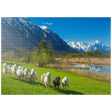 puzzleplate Schafe an den Sieben Quellen gegen Estergebirge und Zugspitzgruppe (2962m), Oberbayern 1000 Puzzle
