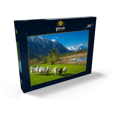 Schafe an den Sieben Quellen gegen Estergebirge und Zugspitzgruppe (2962m), Oberbayern 100 Puzzle Schachtel Ansicht2