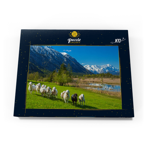 Schafe an den Sieben Quellen gegen Estergebirge und Zugspitzgruppe (2962m), Oberbayern 100 Puzzle Schachtel Ansicht3