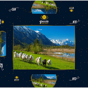 Schafe an den Sieben Quellen gegen Estergebirge und Zugspitzgruppe (2962m), Oberbayern 100 Puzzle Schachtel 3D Modell