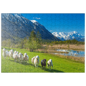 Darstellung des Puzzle-Motivs Schafe an den Sieben Quellen gegen Estergebirge und Zugspitzgruppe, Oberbayern – Puzzleteile: 200