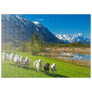 puzzleplate Schafe an den Sieben Quellen gegen Estergebirge und Zugspitzgruppe (2962m), Oberbayern 200 Puzzle
