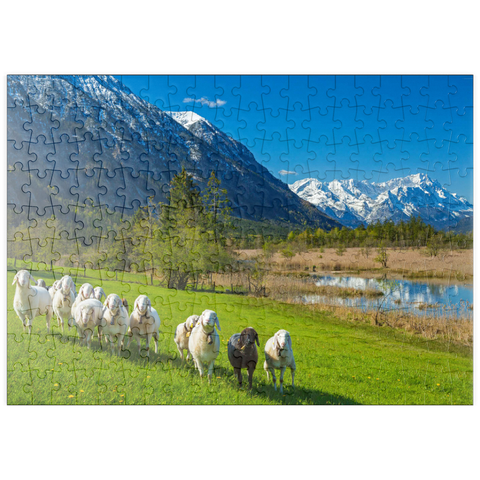 puzzleplate Schafe an den Sieben Quellen gegen Estergebirge und Zugspitzgruppe (2962m), Oberbayern 200 Puzzle