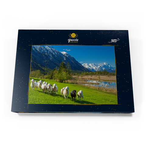 Schafe an den Sieben Quellen gegen Estergebirge und Zugspitzgruppe (2962m), Oberbayern 500 Puzzle Schachtel Ansicht3