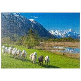 Darstellung des Puzzle Motivs Schafe an den Sieben Quellen gegen Estergebirge und Zugspitzgruppe, Oberbayern - Puzzleteile: 500