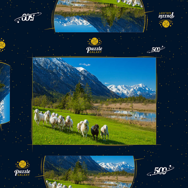 Schafe an den Sieben Quellen gegen Estergebirge und Zugspitzgruppe (2962m), Oberbayern 500 Puzzle Schachtel 3D Modell