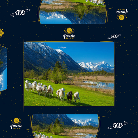 Schafe an den Sieben Quellen gegen Estergebirge und Zugspitzgruppe (2962m), Oberbayern 500 Puzzle Schachtel 3D Modell