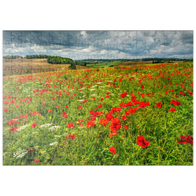 Darstellung des Puzzle-Motivs Beindruckende Landschaft mit Mohnwiese bei La Romieu – Puzzleteile: 200