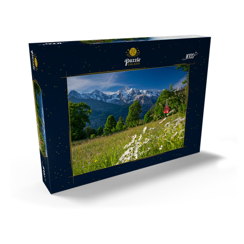 Isenfluh, Weiler Sulwald Bergstation der Seilbahn gegen Eiger, Mönch und Jungfrau 1000 Puzzle Schachtel Ansicht2