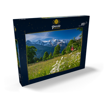 Isenfluh, Weiler Sulwald Bergstation der Seilbahn gegen Eiger, Mönch und Jungfrau 100 Puzzle Schachtel Ansicht2