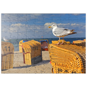 puzzleplate Möwe auf einem Strandkorb, Ostseebad Laboe, Schleswig-Holstein, Deutschland 100 Puzzle