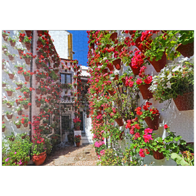 Darstellung des Puzzle-Motivs Festival der Patios in der Altstadt von Cordoba, Andalusien, Spanien – Puzzleteile: 1000