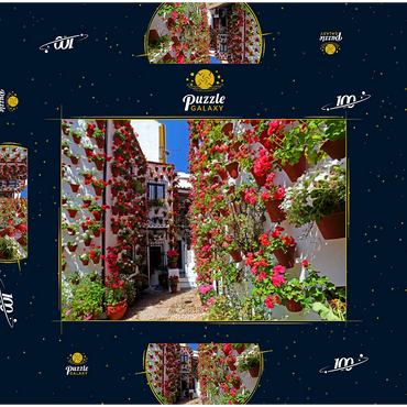 Festival der Patios in der Altstadt von Cordoba, Andalusien, Spanien 100 Puzzle Schachtel 3D Modell