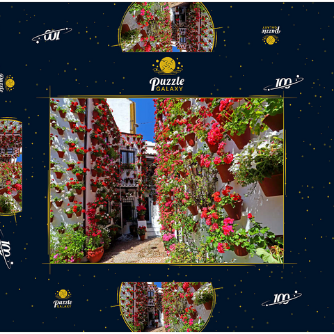 Festival der Patios in der Altstadt von Cordoba, Andalusien, Spanien 100 Puzzle Schachtel 3D Modell