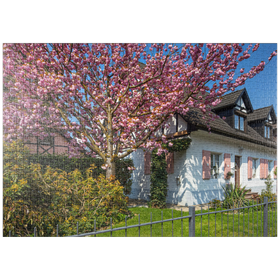 Darstellung des Puzzle-Motivs Blühende Zierkirsche an einem Wohnhaus – Puzzleteile: 1000
