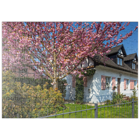Darstellung des Puzzle-Motivs Blühende Zierkirsche an einem Wohnhaus – Puzzleteile: 200