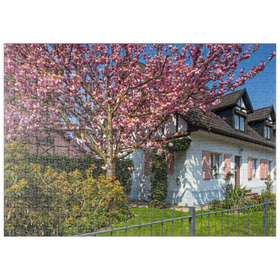 Darstellung des Puzzle-Motivs Blühende Zierkirsche an einem Wohnhaus – Puzzleteile: 500