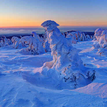 Winter am Gipfel des Brocken (1142m), Harz, Sachsen-Anhalt, Deutschland 1000 Puzzle 3D Modell