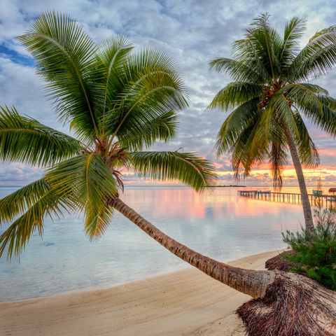 Palmenstrand am Hauru Point, Insel Moorea, Französisch Polynesien, Südsee 100 Puzzle 3D Modell