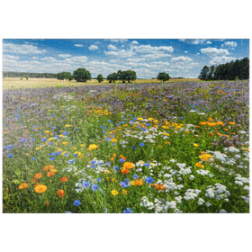 Darstellung des Puzzle Motivs Sommerliche Blumenwiese bei Eichstätt - Puzzleteile: 1000