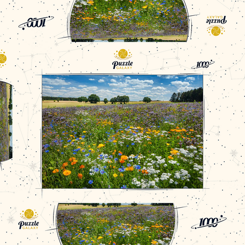 Sommerliche Blumenwiese bei Eichstätt 1000 Puzzle Schachtel 3D Modell
