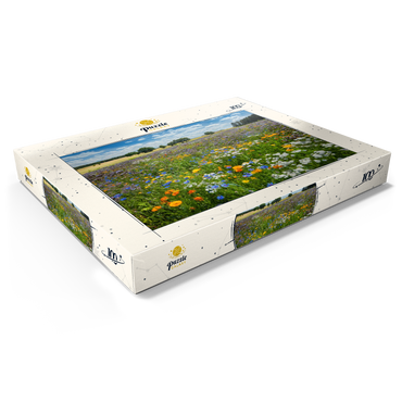 Sommerliche Blumenwiese bei Eichstätt 100 Puzzle Schachtel Ansicht1