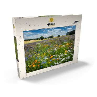 Sommerliche Blumenwiese bei Eichstätt 100 Puzzle Schachtel Ansicht2
