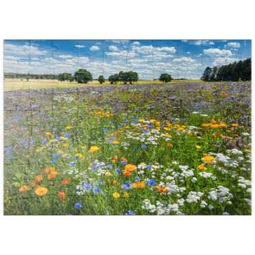 puzzleplate Sommerliche Blumenwiese bei Eichstätt 100 Puzzle