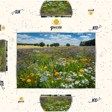 Sommerliche Blumenwiese bei Eichstätt 100 Puzzle Schachtel 3D Modell