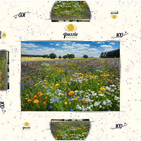Sommerliche Blumenwiese bei Eichstätt 100 Puzzle Schachtel 3D Modell