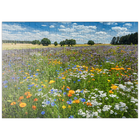 Darstellung des Puzzle-Motivs Sommerliche Blumenwiese bei Eichstätt – Puzzleteile: 200
