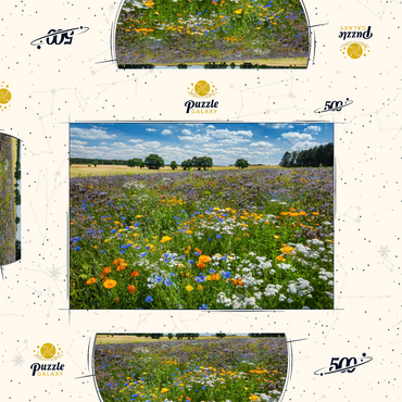 Sommerliche Blumenwiese bei Eichstätt 500 Puzzle Schachtel 3D Modell