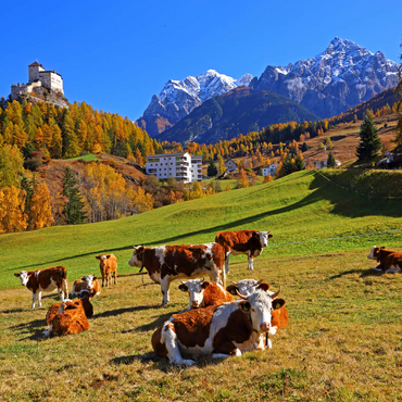 Kühe auf der Weide mit Blick zum Schloss Tarasp, Graubünden, Schweiz 1000 Puzzle 3D Modell