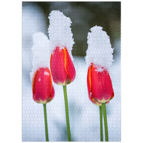 Darstellung des Puzzle-Motivs Tulpen im Schnee – Puzzleteile: 1000