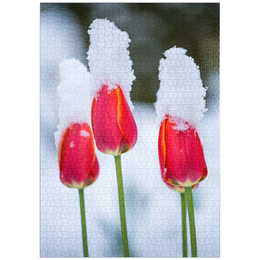 puzzleplate Tulpen im Schnee 1000 Puzzle