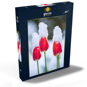 Tulpen im Schnee 100 Puzzle Schachtel Ansicht2