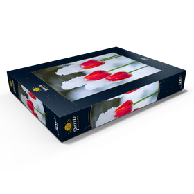 Darstellung des Puzzle Motivs Tulpen im Schnee - Puzzleteile: 500