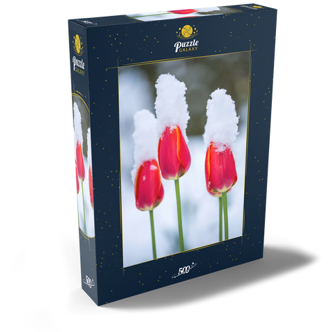 Tulpen im Schnee 500 Puzzle Schachtel Ansicht2