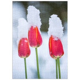 Darstellung des Puzzle Motivs Tulpen im Schnee - Puzzleteile: 500