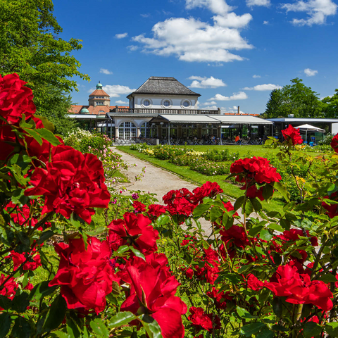 Café im Botanischen Garten zur Zeit der Rosenblüte 1000 Puzzle 3D Modell