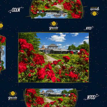 Café im Botanischen Garten zur Zeit der Rosenblüte 1000 Puzzle Schachtel 3D Modell