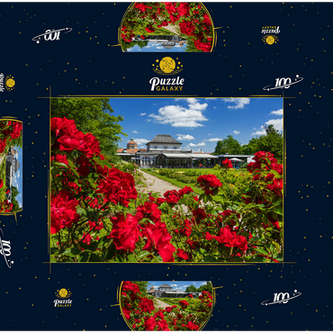 Café im Botanischen Garten zur Zeit der Rosenblüte 100 Puzzle Schachtel 3D Modell