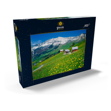 Bauernhöfe gegen Mattstock (1936m), Amden, Kanton St. Gallen, Schweiz 1000 Puzzle Schachtel Ansicht2
