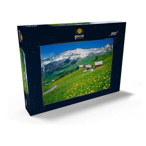 Bauernhöfe gegen Mattstock (1936m), Amden, Kanton St. Gallen, Schweiz 1000 Puzzle Schachtel Ansicht2