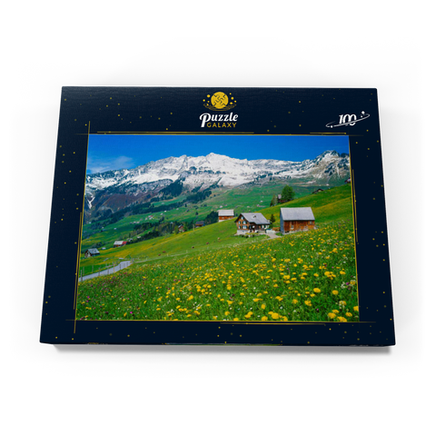 Bauernhöfe gegen Mattstock (1936m), Amden, Kanton St. Gallen, Schweiz 100 Puzzle Schachtel Ansicht3