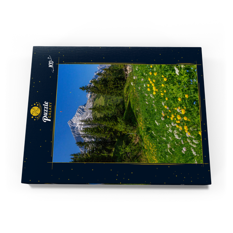 Am Kreuzeck, Trollblumenwiese (Trollius europaeus) gegen Alpspitze mit Paraglider 100 Puzzle Schachtel Ansicht3