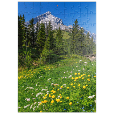 puzzleplate Am Kreuzeck, Trollblumenwiese (Trollius europaeus) gegen Alpspitze mit Paraglider 100 Puzzle