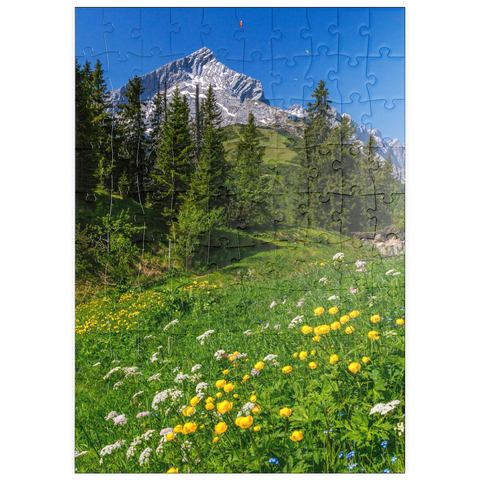 puzzleplate Am Kreuzeck, Trollblumenwiese (Trollius europaeus) gegen Alpspitze mit Paraglider 100 Puzzle
