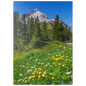 Darstellung des Puzzle-Motivs Am Kreuzeck, Trollblumenwiese (Trollius europaeus) gegen Alpspitze mit Paraglider – Puzzleteile: 500